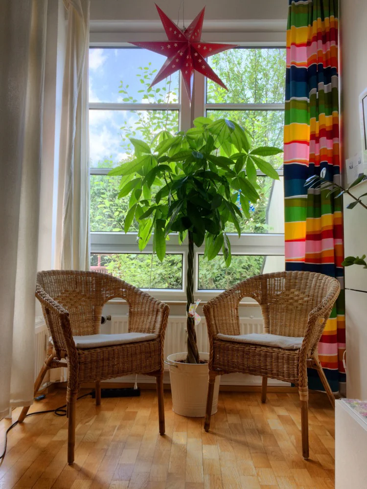 Wohnzimmer der EWG Marie+