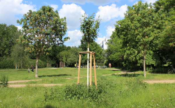 Die BJW liegt in grüner Umgebung in der Nähe eines Parks.