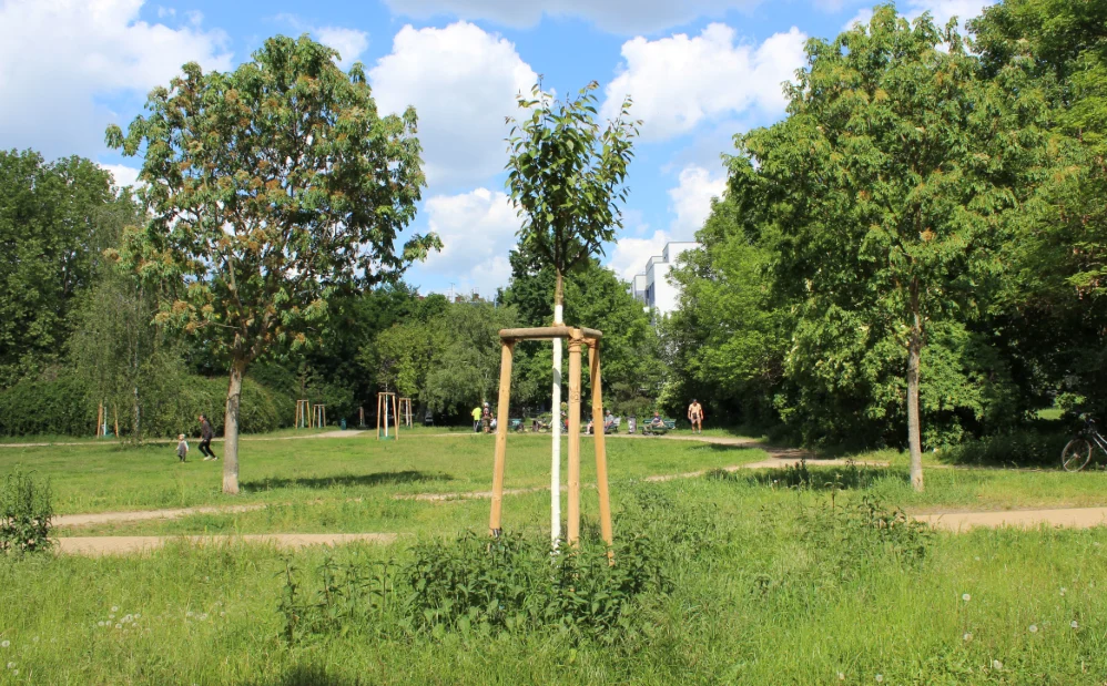 Die BJW liegt in grüner Umgebung in der Nähe eines Parks.