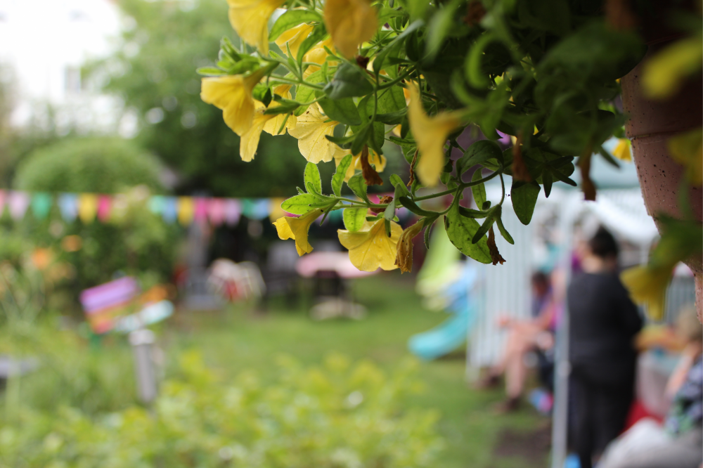ewg-lira-blumen Im Garten der EWG