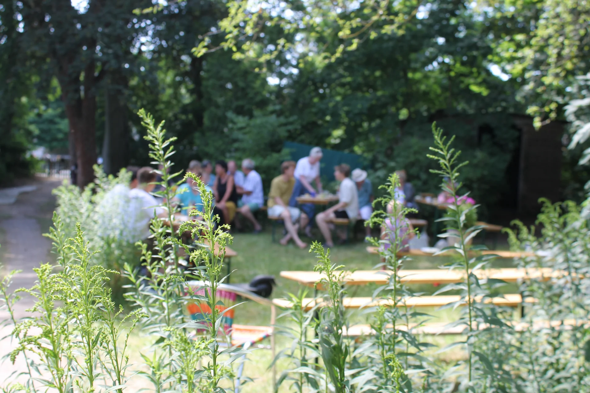 Foto vom Garten der Villa Kunterbunt mit Bierbänken im Hintergrund. Darauf sitzen viele Gäste im Gespräch.